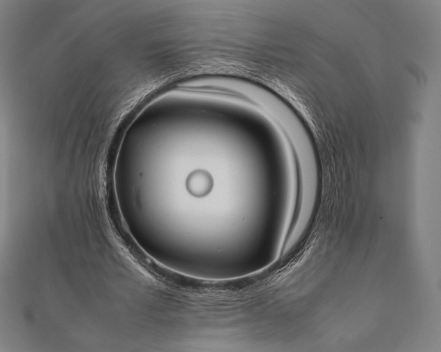 X0000112050581200908181138