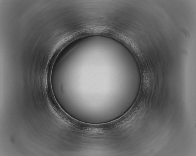 X0000112050582200908181138