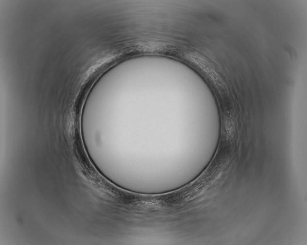 X0000112050583200908181138