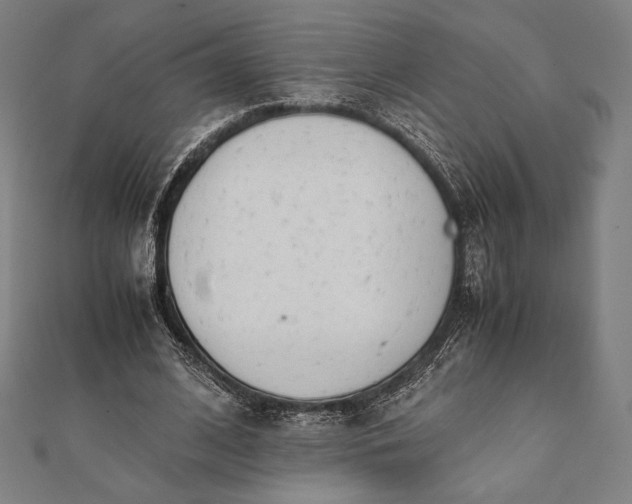 X0000112050584200908181138