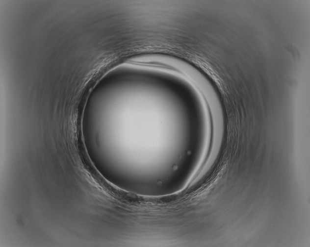 X0000112050585200908181138