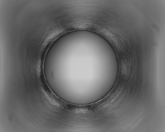 X0000112050586200908181138