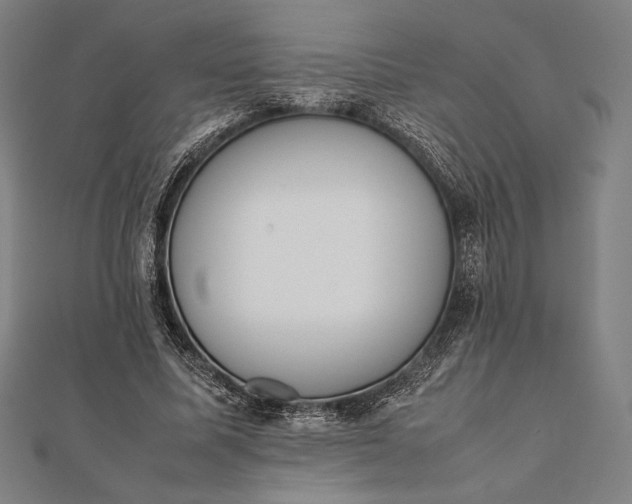 X0000112050587200908181138