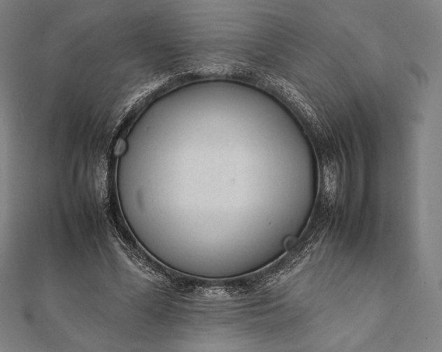 X0000112050588200908181138