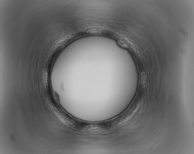 X0000112050589200908181138