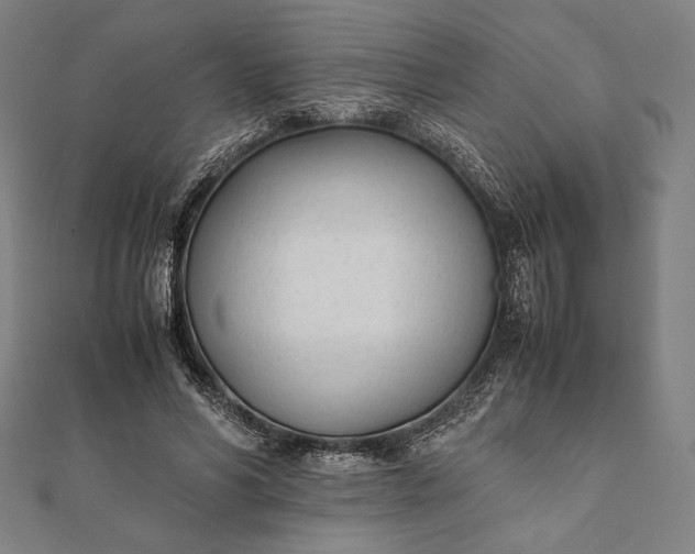 X0000112050590200908181138