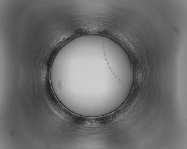 X0000112050591200908181138