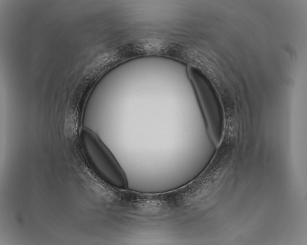 X0000112050593200908181138