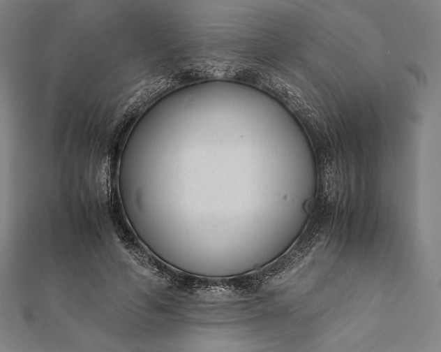 X0000112050594200908181138