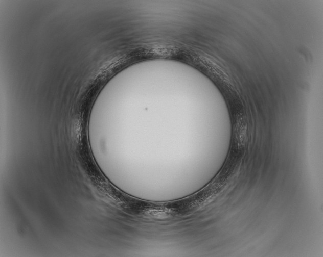 X0000112050595200908181138