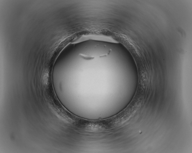 X0000112050596200908181138