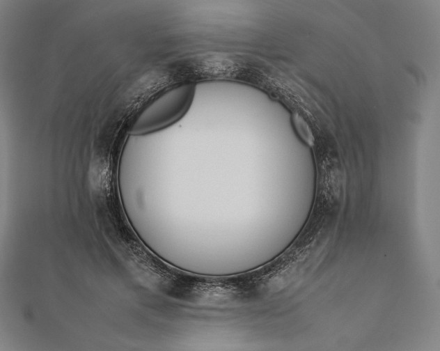 X0000112050597200908181138