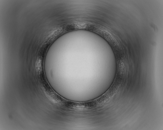 X0000112050598200908181138