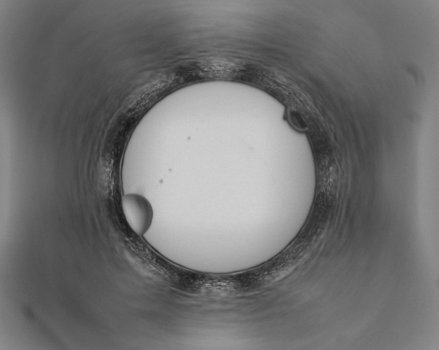 X0000112050599200908181138