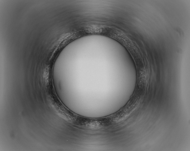 X0000112050600200908181138