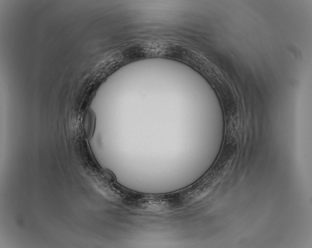 X0000112050601200908181138