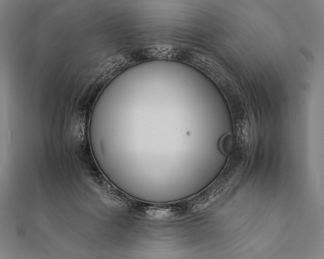 X0000112050602200908181138