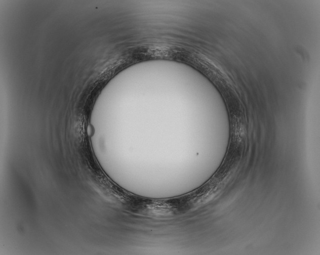 X0000112050603200908181138