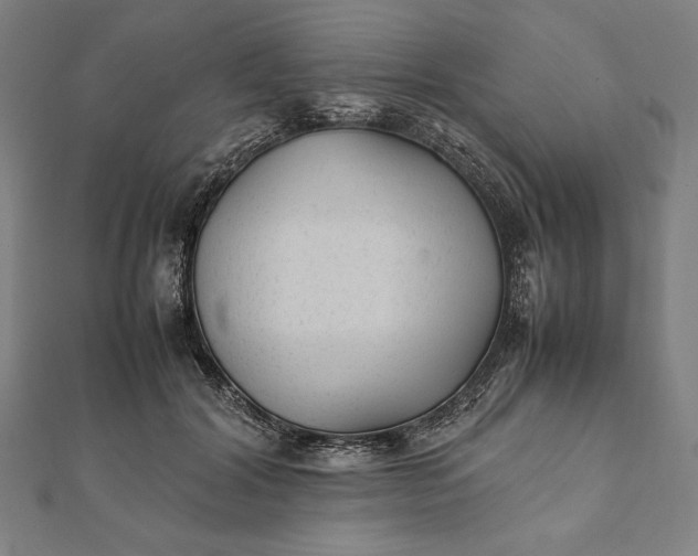 X0000112050604200908181138