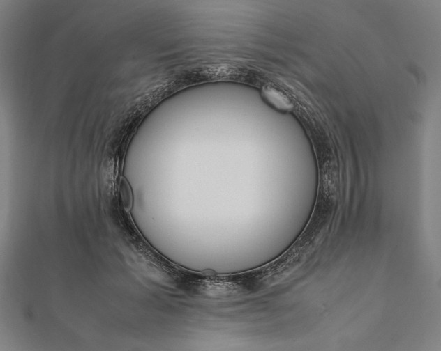 X0000112050605200908181138