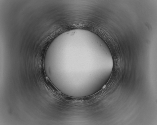 X0000112050606200908181138