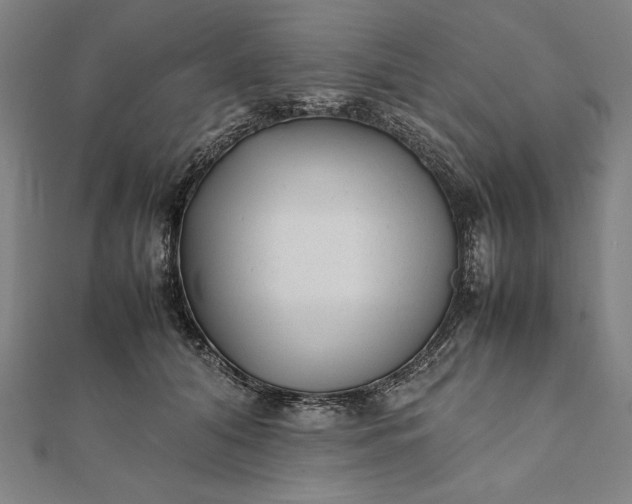 X0000112050608200908181138