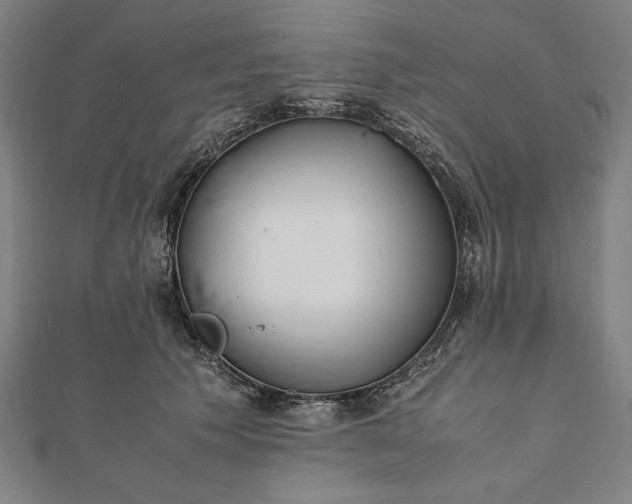 X0000112050609200908181138