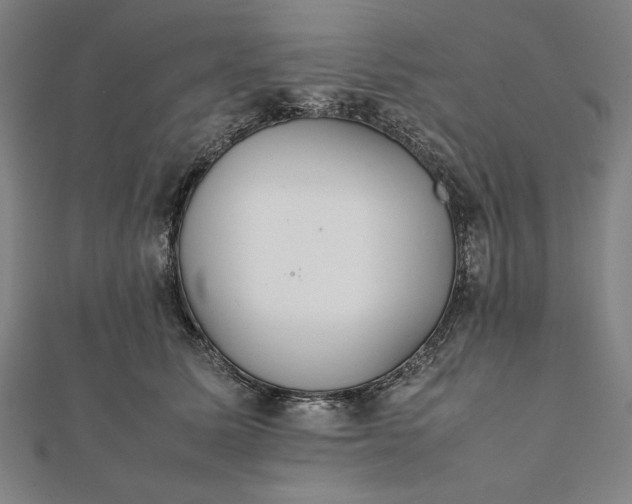 X0000112050611200908181138