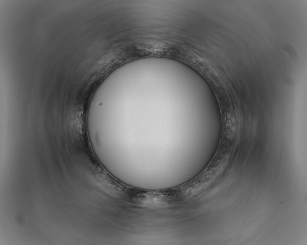 X0000112050612200908181138