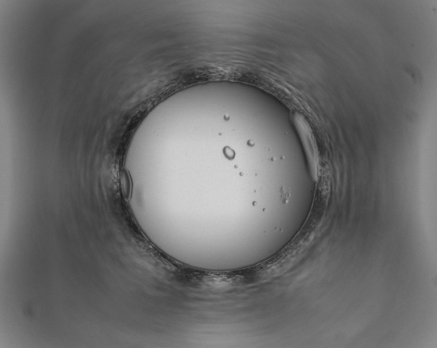 X0000112050613200908181138