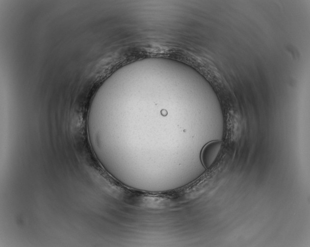 X0000112050614200908181138