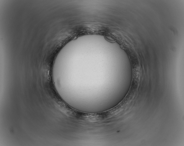 X0000112050615200908181138