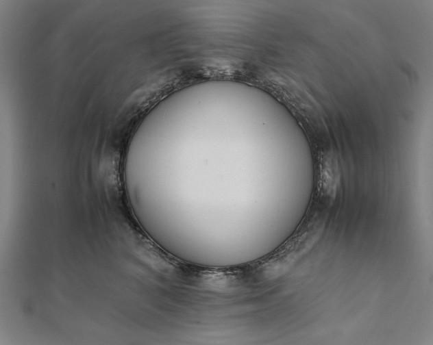 X0000112050616200908181138