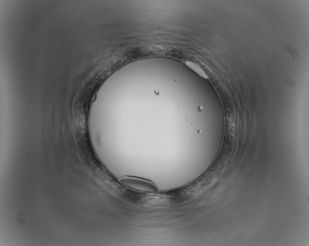 X0000112050617200908181138