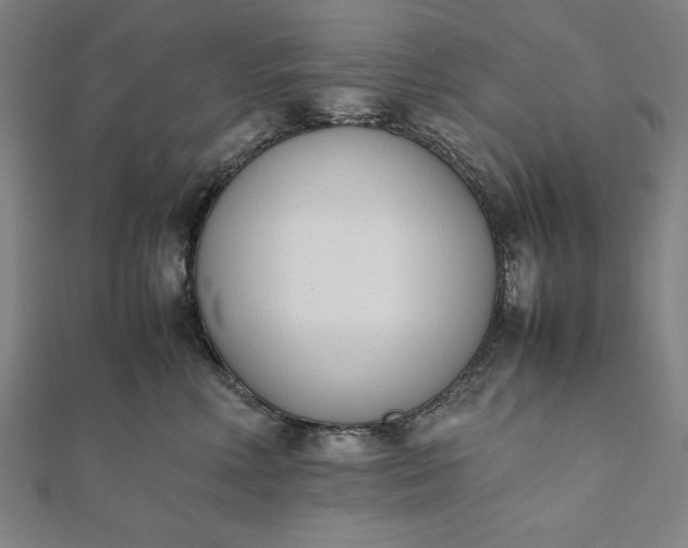 X0000112050618200908181138