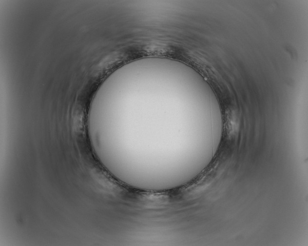 X0000112050619200908181138