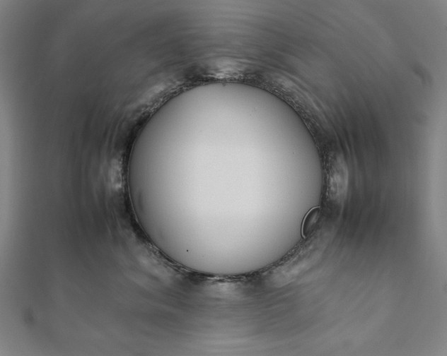 X0000112050620200908181138