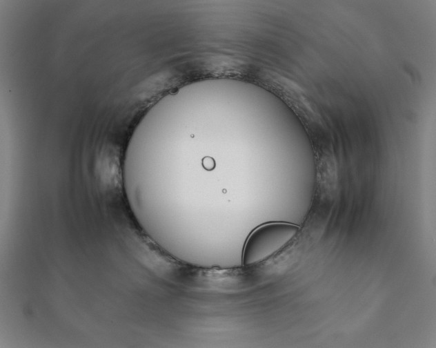 X0000112050622200908181138