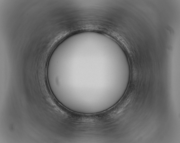 X0000112050625200908181137