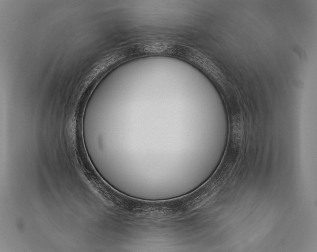 X0000112050626200908181137