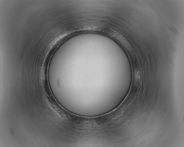 X0000112050628200908181137