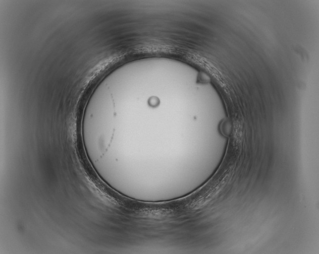 X0000112050629200908181137