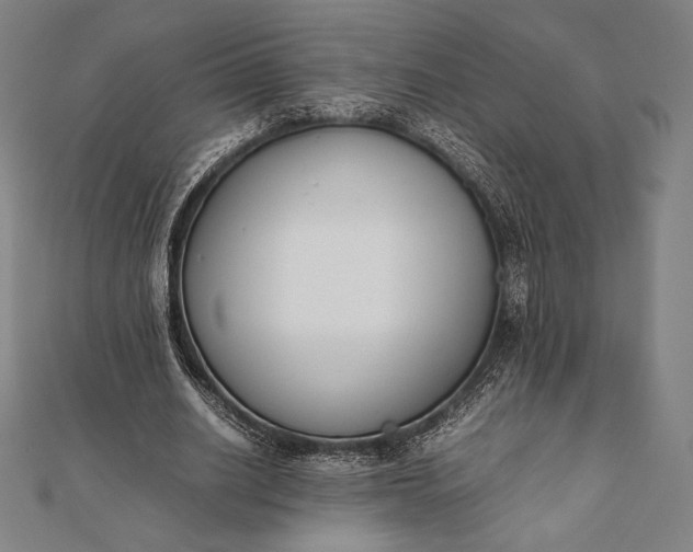 X0000112050630200908181137