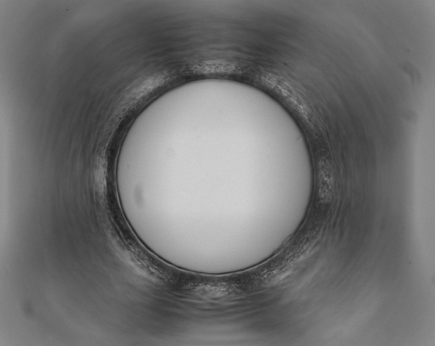 X0000112050631200908181137