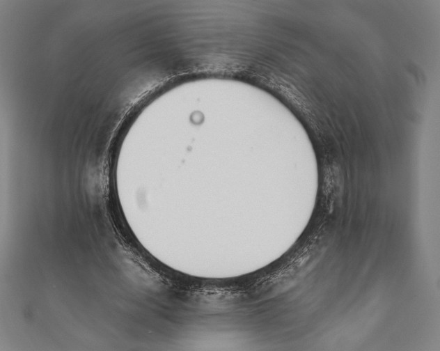 X0000112050632200908181137