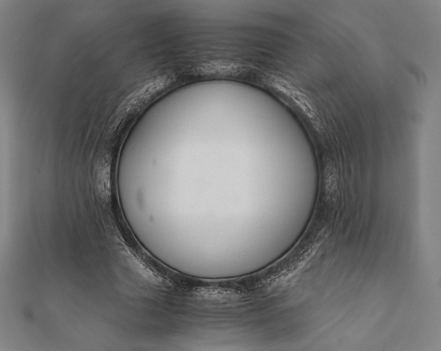 X0000112050633200908181137