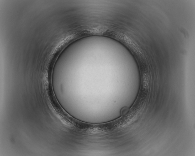 X0000112050634200908181137