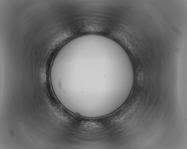 X0000112050635200908181137