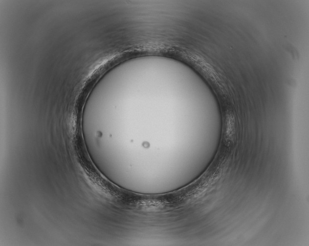 X0000112050636200908181137