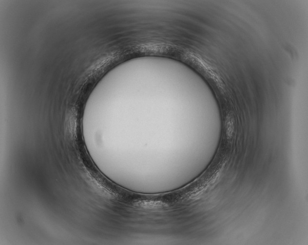 X0000112050637200908181137